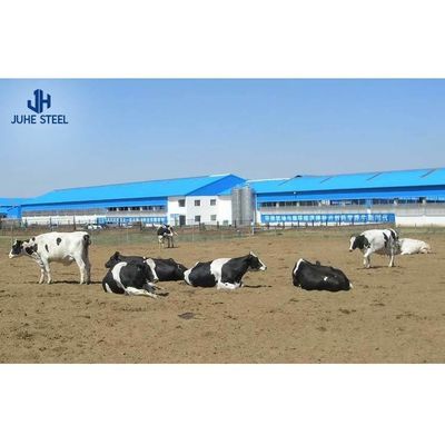 Maison de ferme de lait de vache en acier préfabriqué avec toit en panneaux sandwich et porte roulante