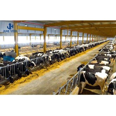 2 à 10 mètres de hauteur bâtiment de ferme de vache maison de cowshed conception avec 60 mm de diamètre de tuyau