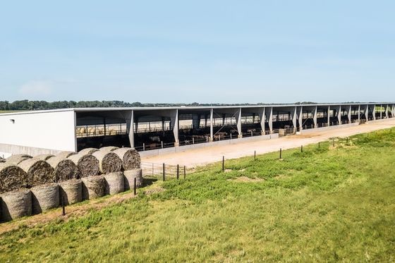 Élevage de l'acier et de l'élevage Construction 80 kg Bouleuse à paille ronde avec service de coupe