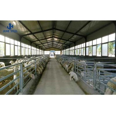 Q235 Q355B Steel Livestock Shelter Poultry Farm La mise en page est conçue par Close House Chicken Farm