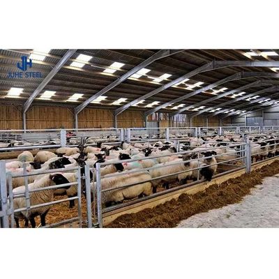 Q235 Q355B Steel Livestock Shelter Poultry Farm La mise en page est conçue par Close House Chicken Farm