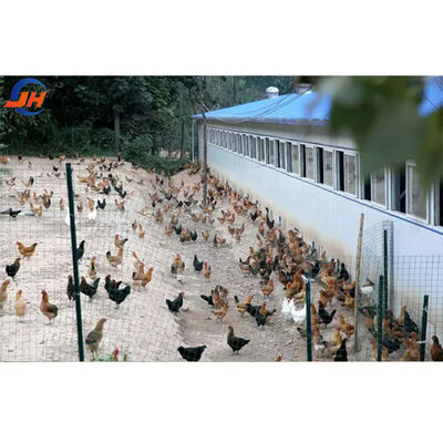 Q235/Q345 Bâtiment d'une ferme avicole en acier à faible teneur en carbone Pour les vaches, les chèvres, les chevaux, les bovins, les moutons