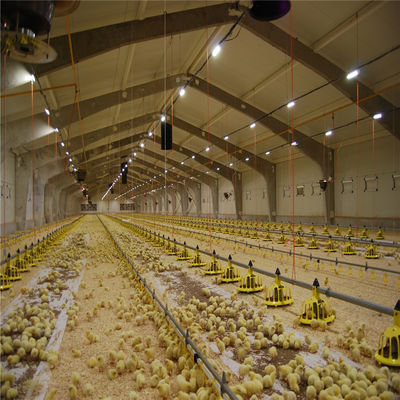 Q235/Q345 Bâtiment d'une ferme avicole en acier à faible teneur en carbone Pour les vaches, les chèvres, les chevaux, les bovins, les moutons