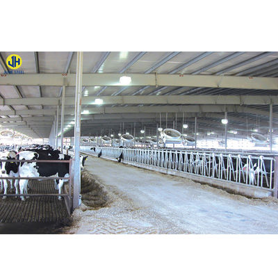 Steel Structural Fabrication Construction Poultry House Shed avec fenêtre en alliage d'aluminium