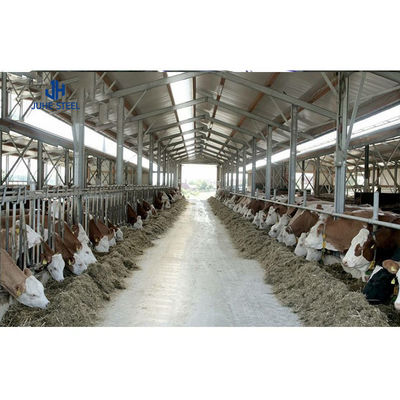 Étagères métalliques en acier Étagères pour vaches et porcs Étagères préfabriquées Étagères pour volailles Construction de portes à rouleaux