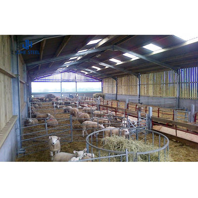 Structure de cadre métallique robuste pour les murs latéraux de volaille dans les fermes de stockage de bétail préfabriquées
