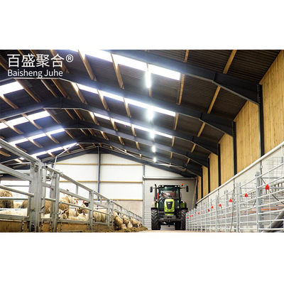 Structure en acier préfabriquée pour la maison de volaille
